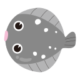 Flatfish